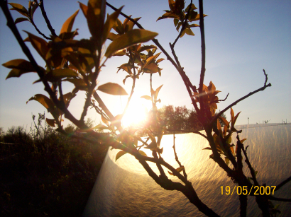 OTC Sunset - credit: Katie Williams