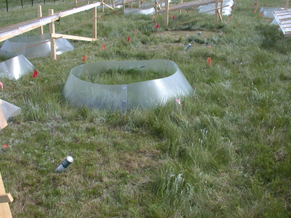 Defoliated Plots