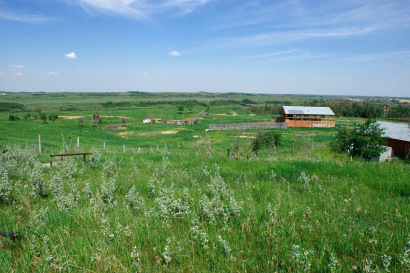Kinsella Hillside