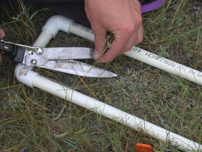 Vegetation Sampling