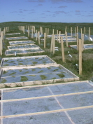 Rainout Shelter Construction 2
