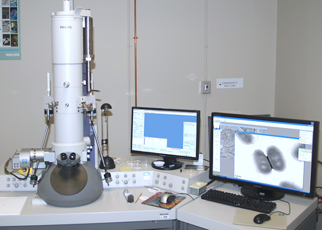 electron microscopy thesis electron microscopy thesis