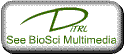 http://www.biology.ualberta.ca/facilities/multimedia/uploads/imagebank/seemulti.gif