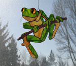 Tree Frog