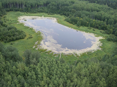 Pond 19 in the Utikuma Region Study Area