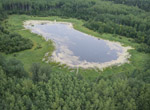 Pond 19 in the Utikuma Region Study Area