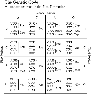 could not load image