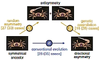 SciFig04.jpg