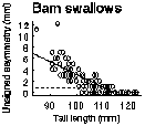 SwallowTails.GIF