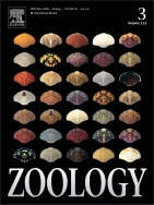 ZoolCov10.jpg