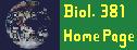 Bio 381 Homepage