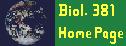 Bio 381 Homepage