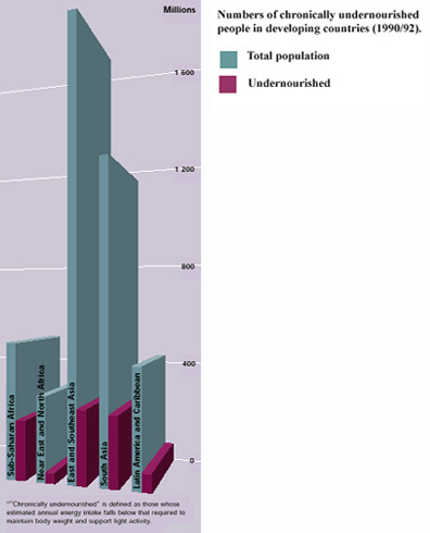 undernourished.jpg (34394 bytes)