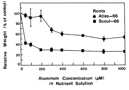 atlas-scout.jpg (29683 bytes)