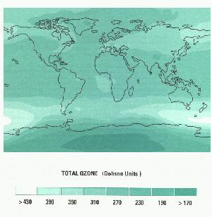 Global ozone distribution