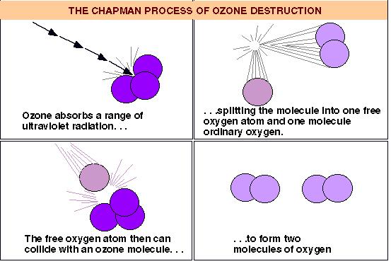 Ozone destruction, the Chapman reactions