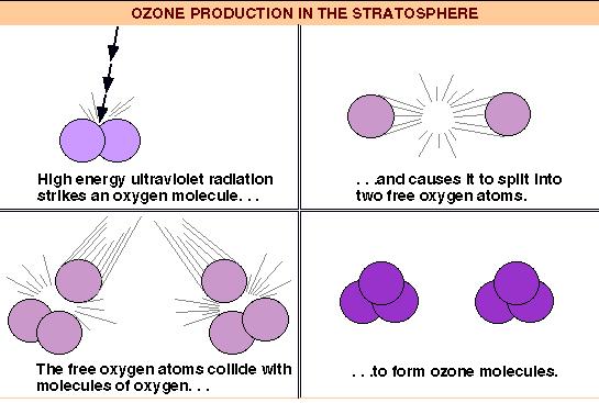 Ozone formation, the Chapman reactions
