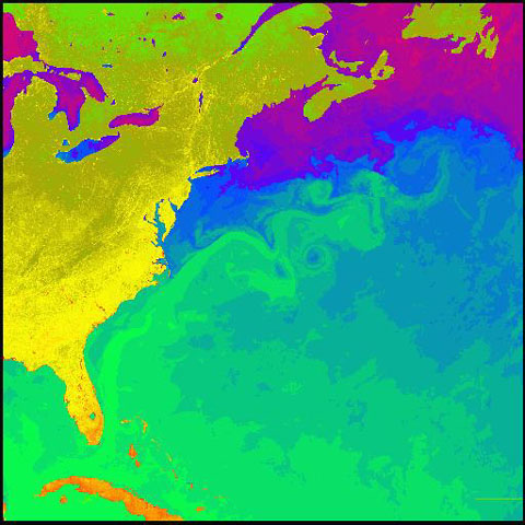 The Gulf Stream