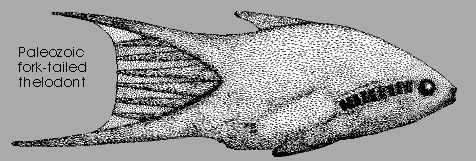 Paleozoic Fork-Tailed Thelodont