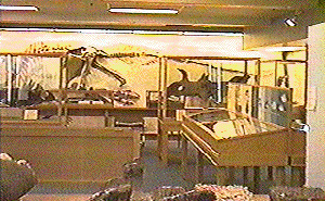 Paleontology Museum, Earth Sciences Building