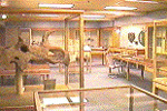 Paleontology Museum, Earth Science Building